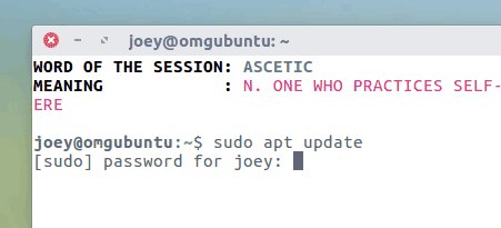 entering-password-sudo